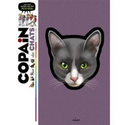 Copain des chats : pour tout savoir sur ton petit félin Stéphane Frattini Milan jeunesse