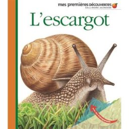 L'escargot Pierre de Hugo Gallimard-Jeunesse