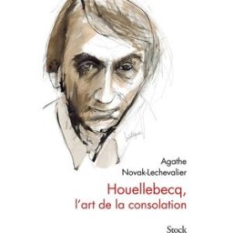 Houellebecq, l'art de la consolation Agathe Novak-Lechevalier Stock