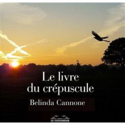 Le livre du crépuscule Belinda Cannone le Vistemboir