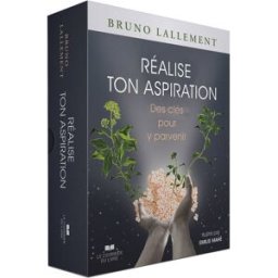 Réalise ton aspiration : des clés pour y parvenir Bruno Lallement Courrier du livre