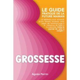Grossesse Le guide pratique de la future maman Le merveilleux voyage d'une femme enceinte (avec papa perrin, agnès Independently published