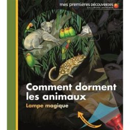 Comment dorment les animaux ? Claude Delafosse, Sylvaine Peyrols Gallimard-Jeunesse