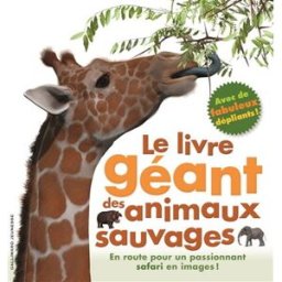 Le livre géant des animaux sauvages : en route pour un passionnant safari en images ! Mary Greenwood Gallimard-Jeunesse