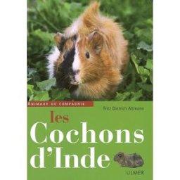 Les cochons d'Inde Fritz Dietrich Altmann Ulmer