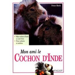 Mon ami le cochon d'Inde Peter Beck Vigot