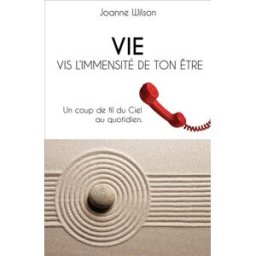 VIE : Vis l'Immensité de ton Etre Joanne Wilson Librinova