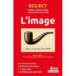 L'image : culture générale concours 2025 : ECG, ECT, prépas commerciales Denis Collin Bréal
