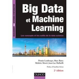 Big data et machine learning : les concepts et les outils de la data science pirmin lemberger, marc batty, médéric morel, jean-luc raffaëlli Dunod