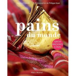 Pains du monde : spécial machines à pain Rébecca Pugnale Albin Michel