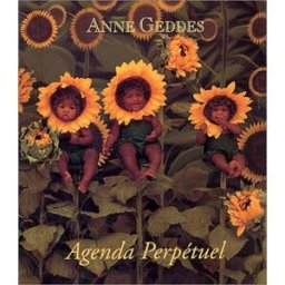 Agenda perpétuel (mini) Anne Geddes Hors collection
