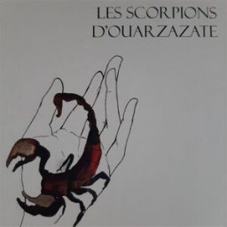 LES SCORPIONS D'OUARZAZATE Andrea Novick Les Mots de Plume
