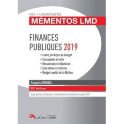 Finances publiques 2019 : cadre juridique du budget, conception et vote, ressources et dépenses, exé François Chouvel Gualino