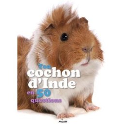 Ton cochon d'Inde en 50 questions Emmanuelle Figueras Milan jeunesse
