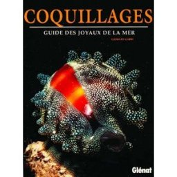 Les coquillages : le guide des joyaux de la mer Giorgio Gabbi Glénat