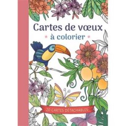 Cartes de voeux à colorier : 20 cartes détachables Zuidnederlandse uitgeverij Chantecler
