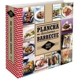 Plancha, brochettes, barbecue collectif Solar