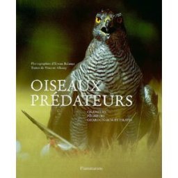Oiseaux prédateurs : chasseurs, pêcheurs, charognards et pirates Erwan Balança, Vincent Albouy Flammarion