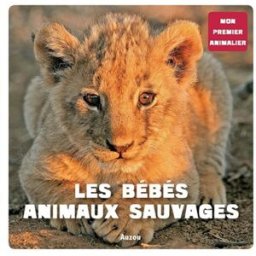 Les bébés animaux sauvages Patrick David Auzou