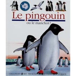 Le pingouin René Mettler Gallimard-Jeunesse