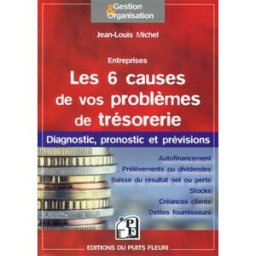 Les 6 causes de vos problèmes de trésorerie : diagnostic, pronostic et prévisions Jean-Louis Michel Puits fleuri