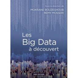 Les big data à découvert : le traitement des données numériques mokrane bouzeghoub, remy mosseri CNRS Editions