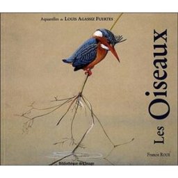 Les oiseaux Francis Roux, Louis Agassiz Fuertes Bibliothèque de l'image