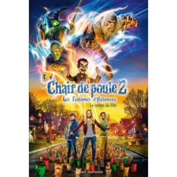 Chair de poule 2 : les fantômes d'Halloween : le roman du film r.l stine, sophie alibert Bayard Jeunesse