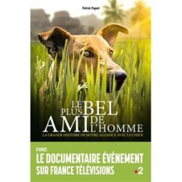 Le plus bel ami de l'homme : la grande histoire de notre alliance avec le chien Patrick Pageat Solar