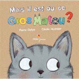 Mais il est où ce gros matou ? Pierre Delye, Cécile Hudrisier Didier Jeunesse