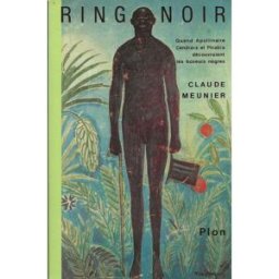 Ring noir : quand Colette, Apollinaire et Picabia découvraient les boxeurs nègres Claude Meunier Plon