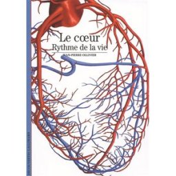 Le coeur : rythme de la vie Jean-Pierre Ollivier Gallimard