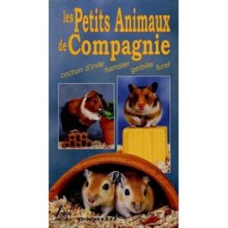 Petits animaux de compagnie : cochon d'Inde, hamster, gerbille, furet hubert, marie-luce SAEP