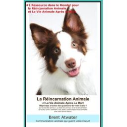 La Reincarnation Animales et La Vie Animale Apres La Mort: Reponses a toutes les Questions de votre atwater, brent Just Plain Love® Books