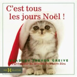 C'est tous les jours Noël Bradley Trevor Greive Hors collection
