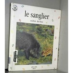 le sanglier, cochon des bois colibri milan