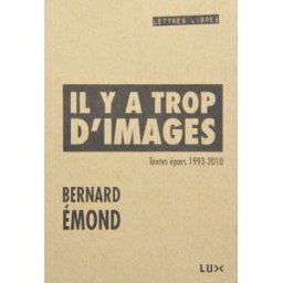 Il y a trop d'images: Textes épars, 1993-2010 LUX ÉDITEUR