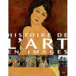 Histoire de l'art en images : l'art occidental de la préhistoire à nos jours Gilles Plazy A. Biro