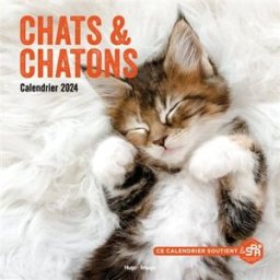 Calendrier mural chats et chatons 2024 collectif Hugo Image