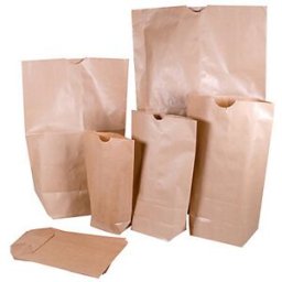 Cenpac Sac papier kraft brun renforcé 2 feuilles à encoche - 15,5 x 26,5 cm