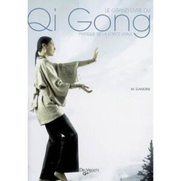 Le grand livre du qi gong : pratique de la force vitale Maurizio Gandini De Vecchi