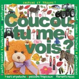 Coucou, tu me vois ? collectif Gallimard-Jeunesse