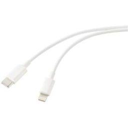 Renkforce Câble USB USB 2.0 USB-C® mâle, Connecteur Lightning 2.00 m blanc (nacré) RF-5724080