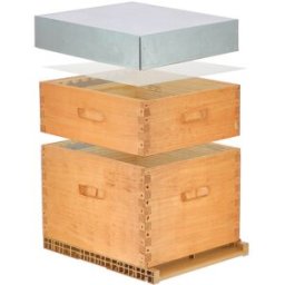 Ecoruche : Ruches Classiques en Bois Ruche lasurée Dadant 10 cadres + Hausse - Chêne foncé
