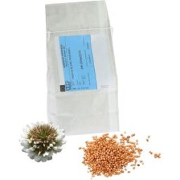 Apiculture.net - Matériel apicole français Graines de Trèfle blanc 1kg