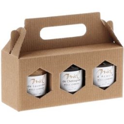 Apiculture.net - Matériel apicole français 100 coffrets carton pour 3 pots de 250g