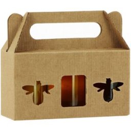 Apiculture.net - Matériel apicole français 100 coffrets carton pour 3 pots de 125g