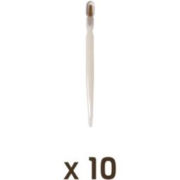 Apiculture.net - Matériel apicole français Lot de 10 spatules à gelée royale