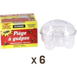 Apiculture.net - Matériel apicole français Lot de 6 pièges à guêpes et mouches de terrasse transparents