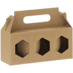 Apiculture.net - Matériel apicole français 10 coffrets carton pour 3 pots de 250 g